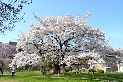 Tohoku University Katahira Campus