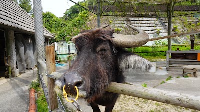 Ryukyu Mura