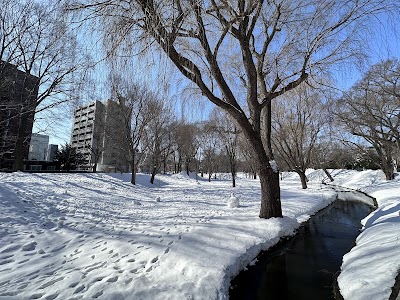 Hokkaido University