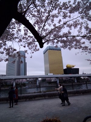 Asakusa Chicken